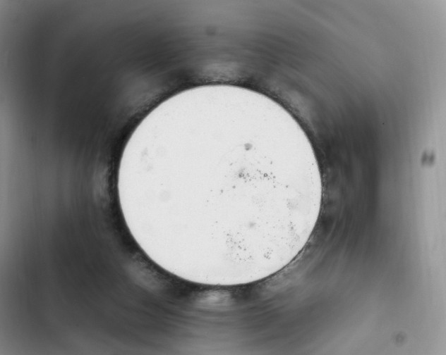 X0000102760162200808251037