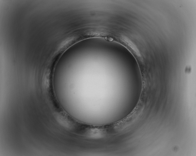 X0000102760163200808251037