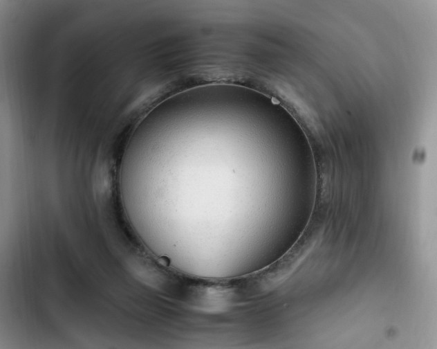 X0000102760165200808251037