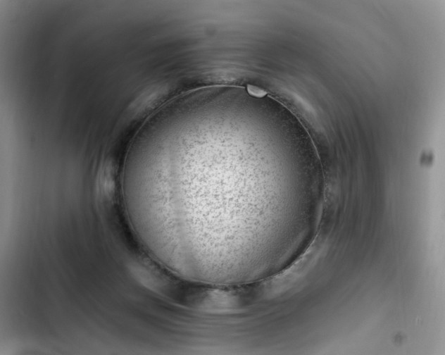 X0000102760166200808251037