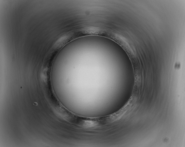 X0000102760167200808251037