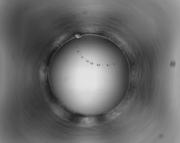 X0000102760168200808251037