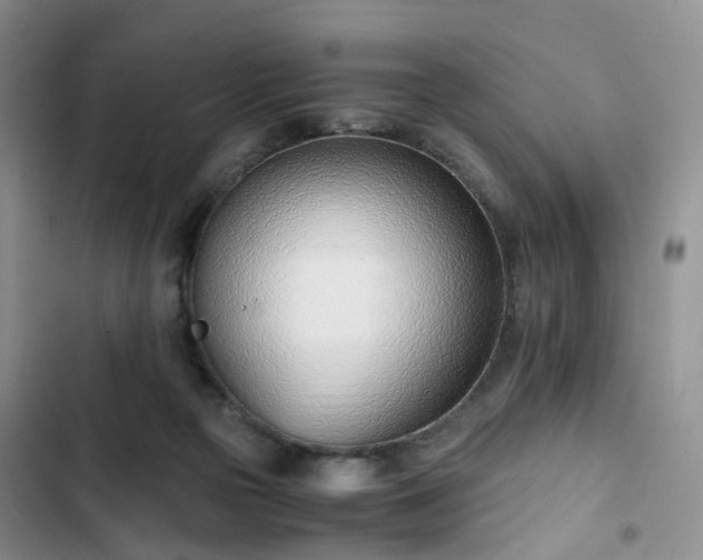 X0000102760169200808251037