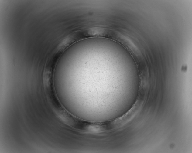 X0000102760171200808251037