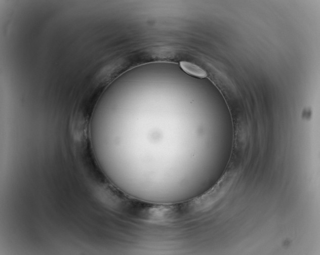 X0000102760172200808251037