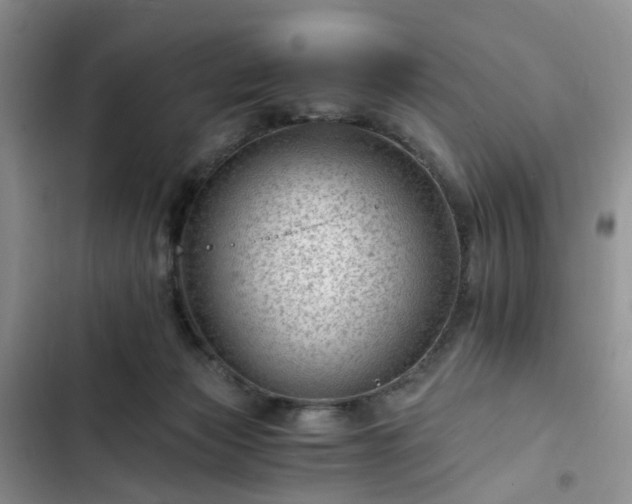 X0000102760173200808251037