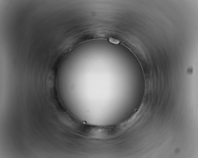 X0000102760174200808251037