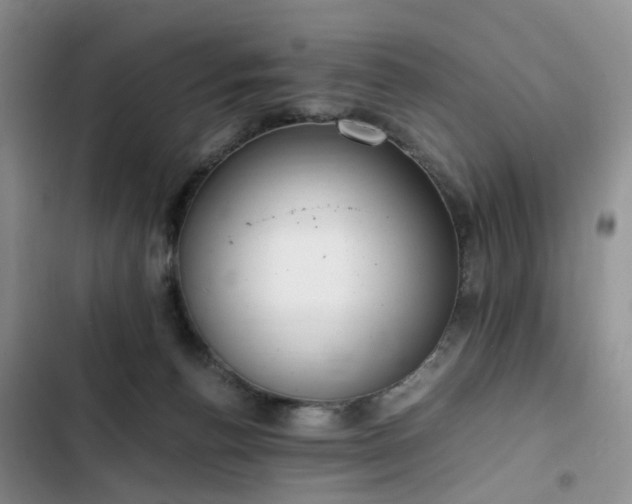 X0000102760176200808251037