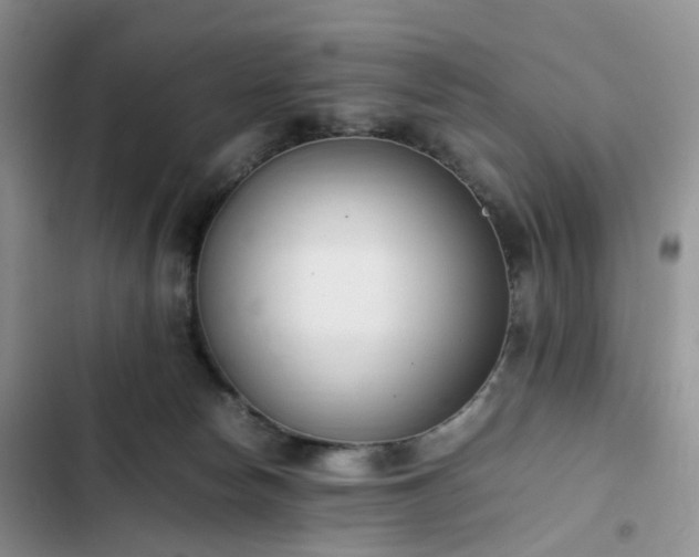 X0000102760178200808251037