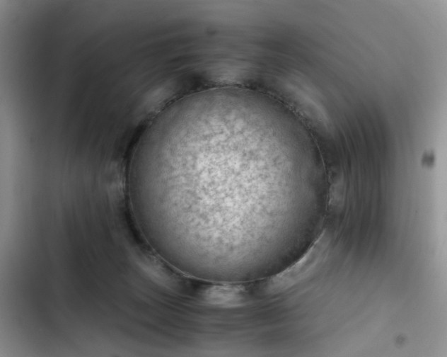 X0000102760179200808251037