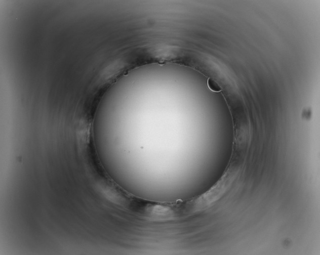 X0000102760180200808251037