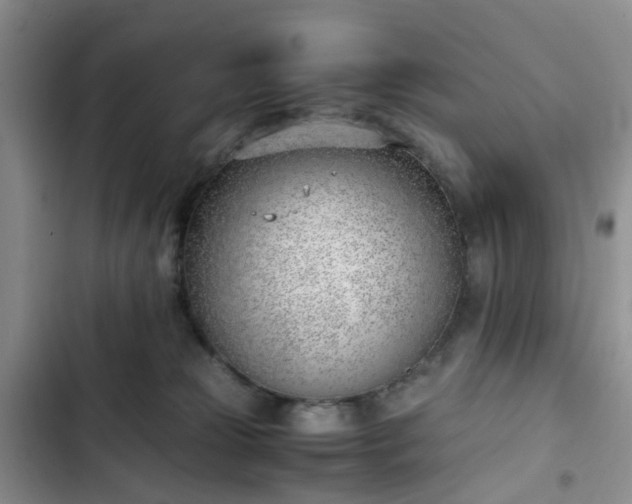 X0000102760181200808251037