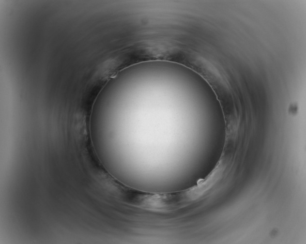 X0000102760182200808251037