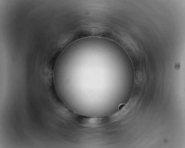 X0000102760184200808251037