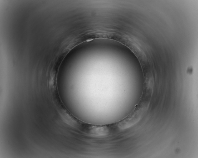 X0000102760185200808251037