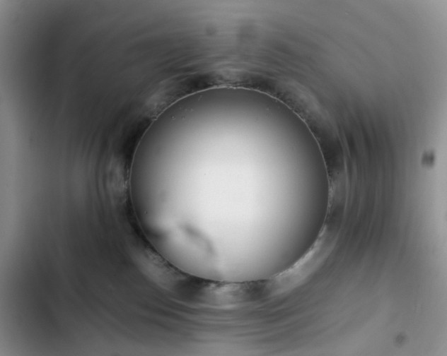 X0000102760186200808251037