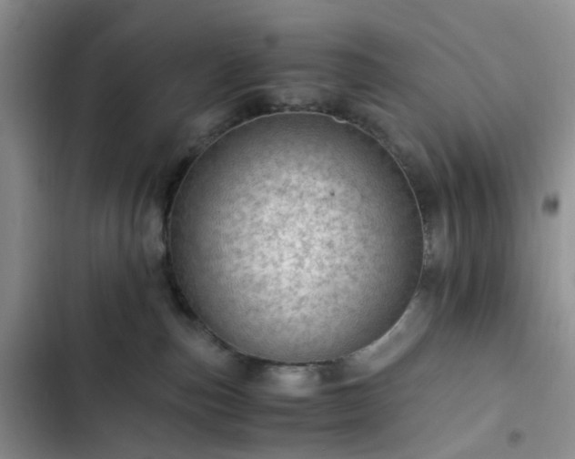 X0000102760187200808251037