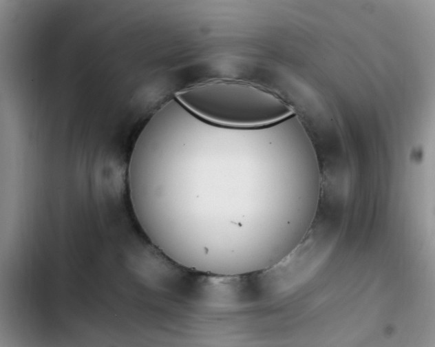 X0000102760188200808251037