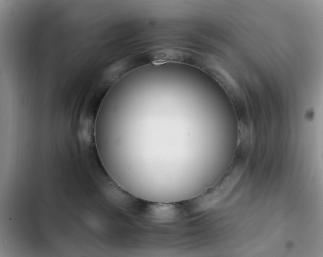 X0000102760189200808251037