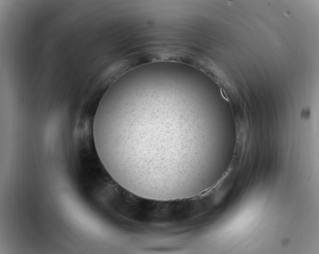 X0000102760191200808251037