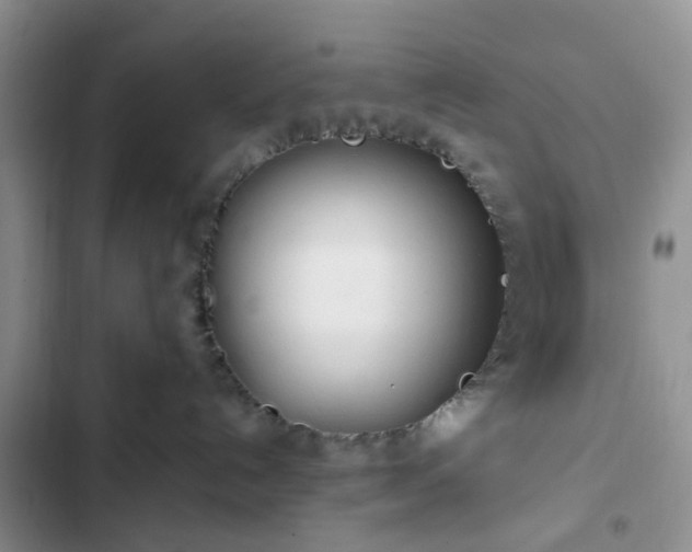 X0000102760192200808251037