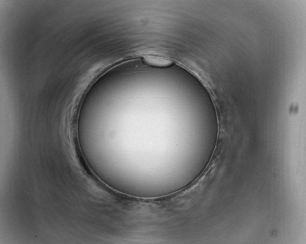 X0000102760193200808251036