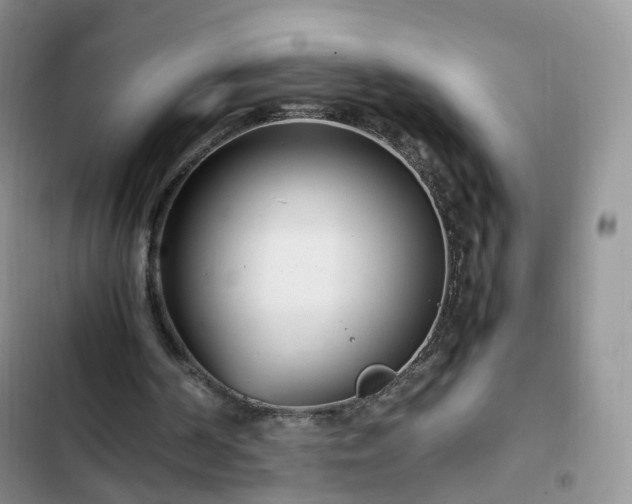 X0000102760194200808251036