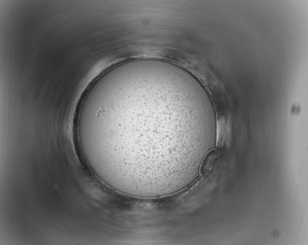 X0000102760195200808251036