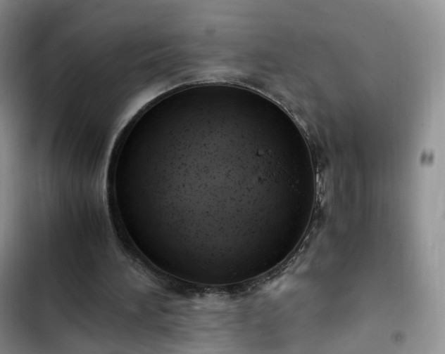 X0000102760196200808251036