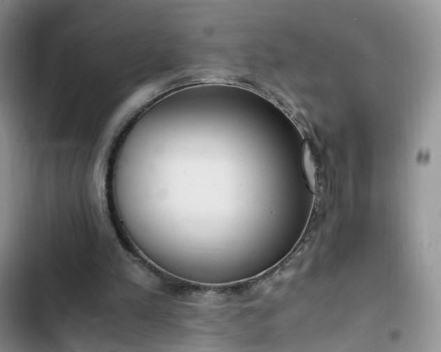 X0000102760197200808251036