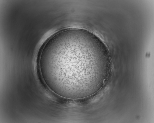 X0000102760199200808251036