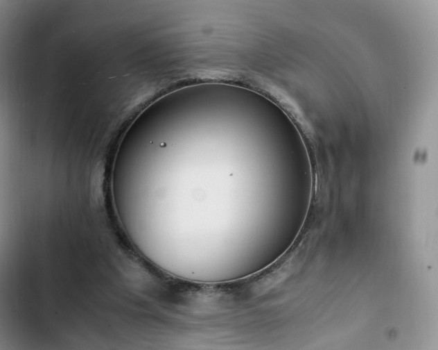 X0000102760201200808251036