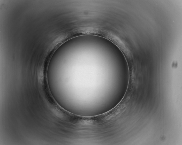 X0000102760202200808251036