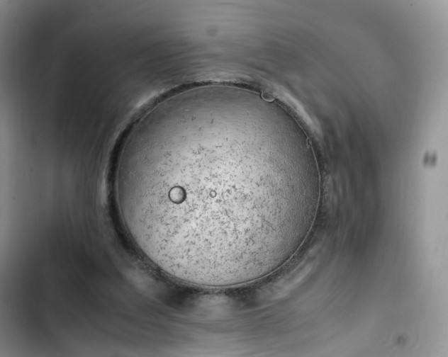 X0000102760203200808251036