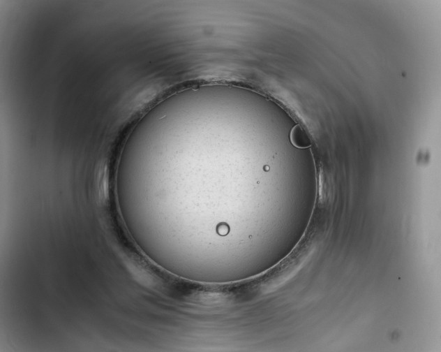 X0000102760205200808251036