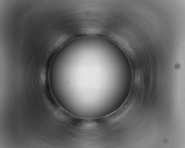 X0000102760206200808251036