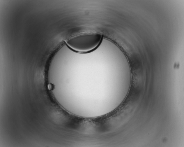 X0000102760207200808251036