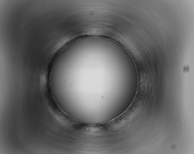 X0000102760208200808251036