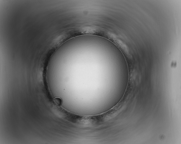 X0000102760209200808251036