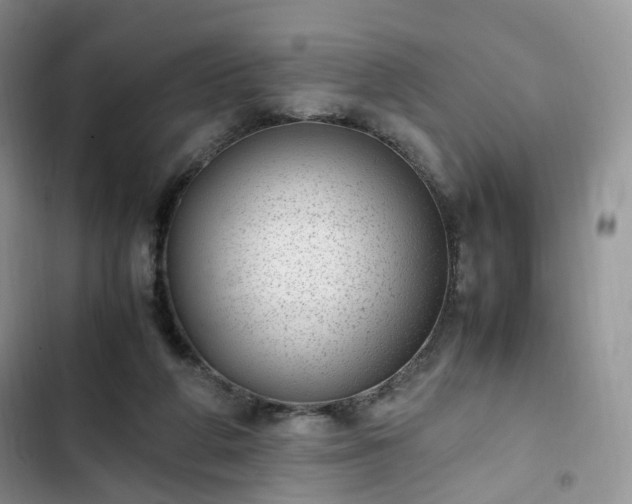 X0000102760210200808251036