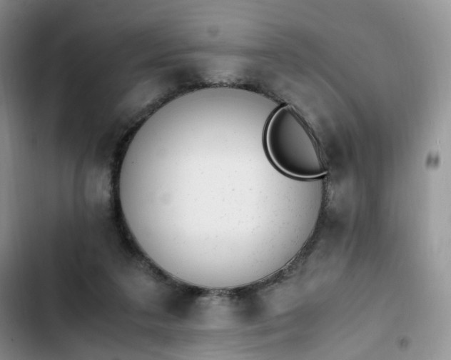 X0000102760211200808251036