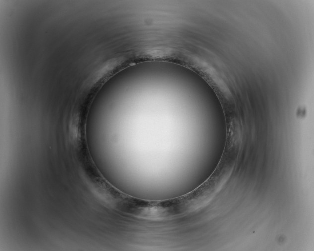 X0000102760212200808251036