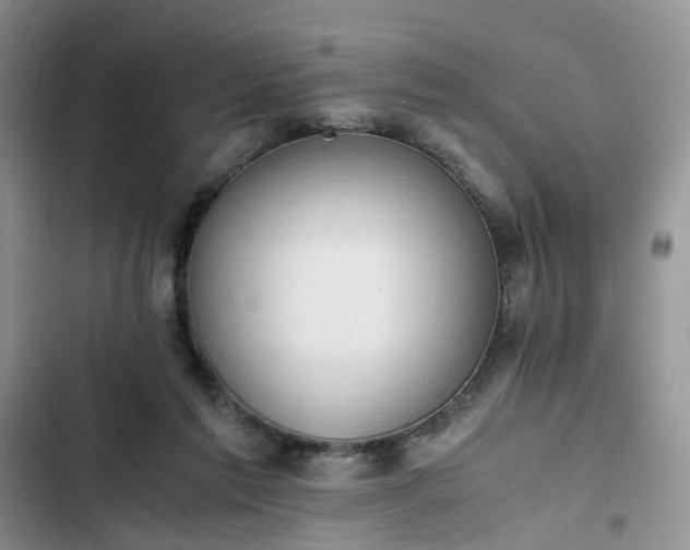 X0000102760213200808251036