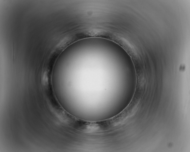 X0000102760214200808251036