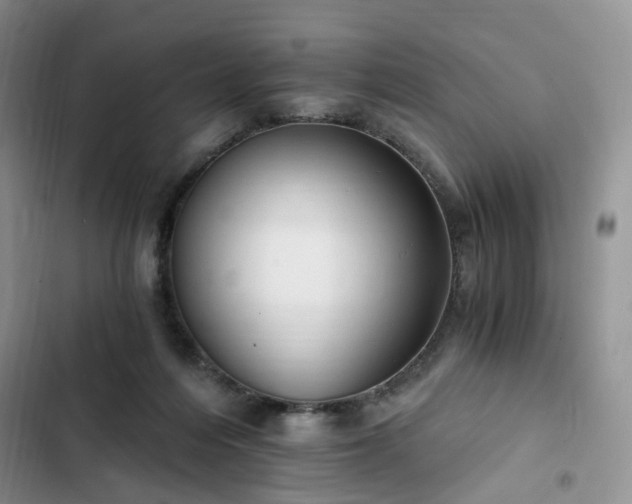 X0000102760216200808251036