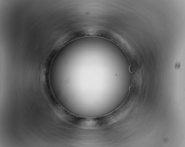 X0000102760217200808251036