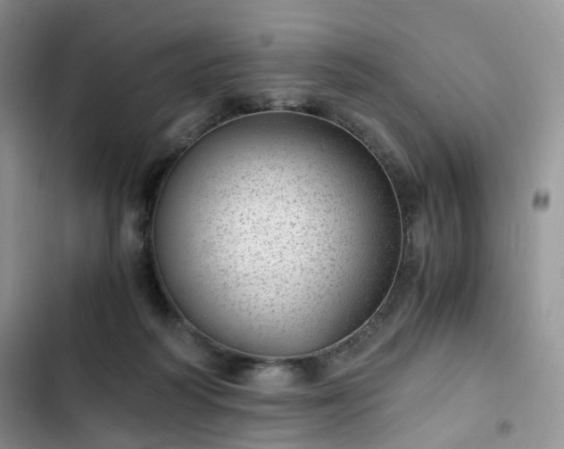 X0000102760218200808251036