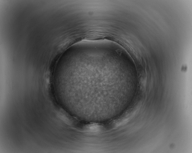 X0000102760219200808251036