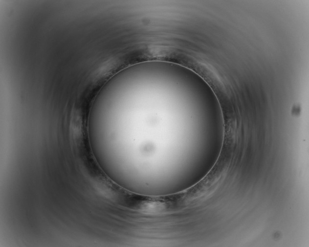 X0000102760220200808251036