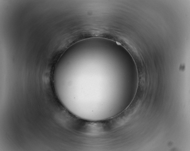 X0000102760221200808251036